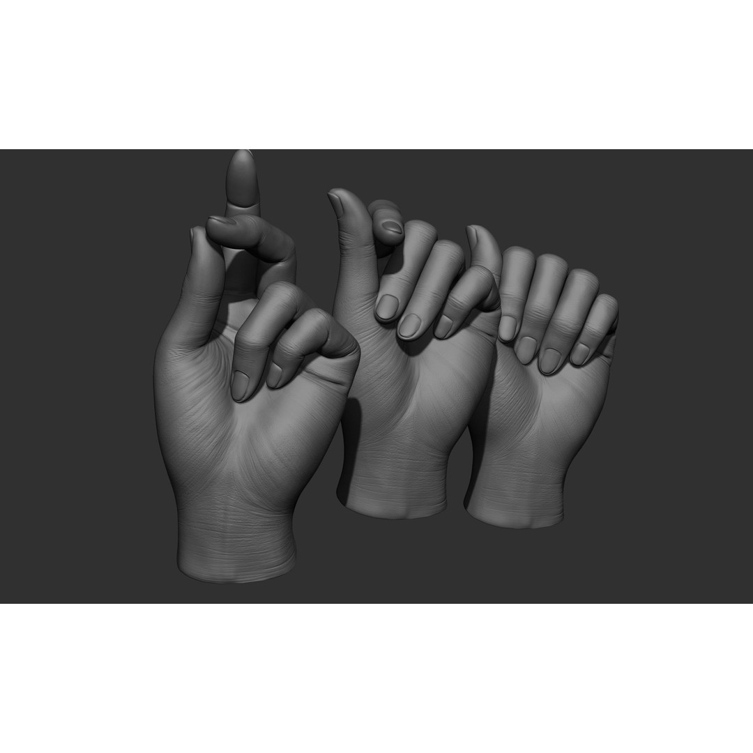 Female Hand Poses 3D Model – Realistic ZBrush Sculptures, OBJ, FBX - View 24