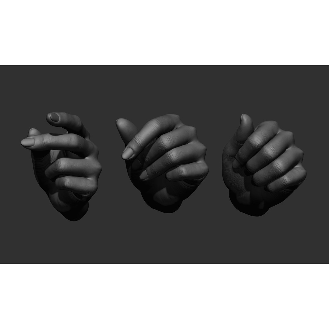Female Hand Poses 3D Model – Realistic ZBrush Sculptures, OBJ, FBX - View 25