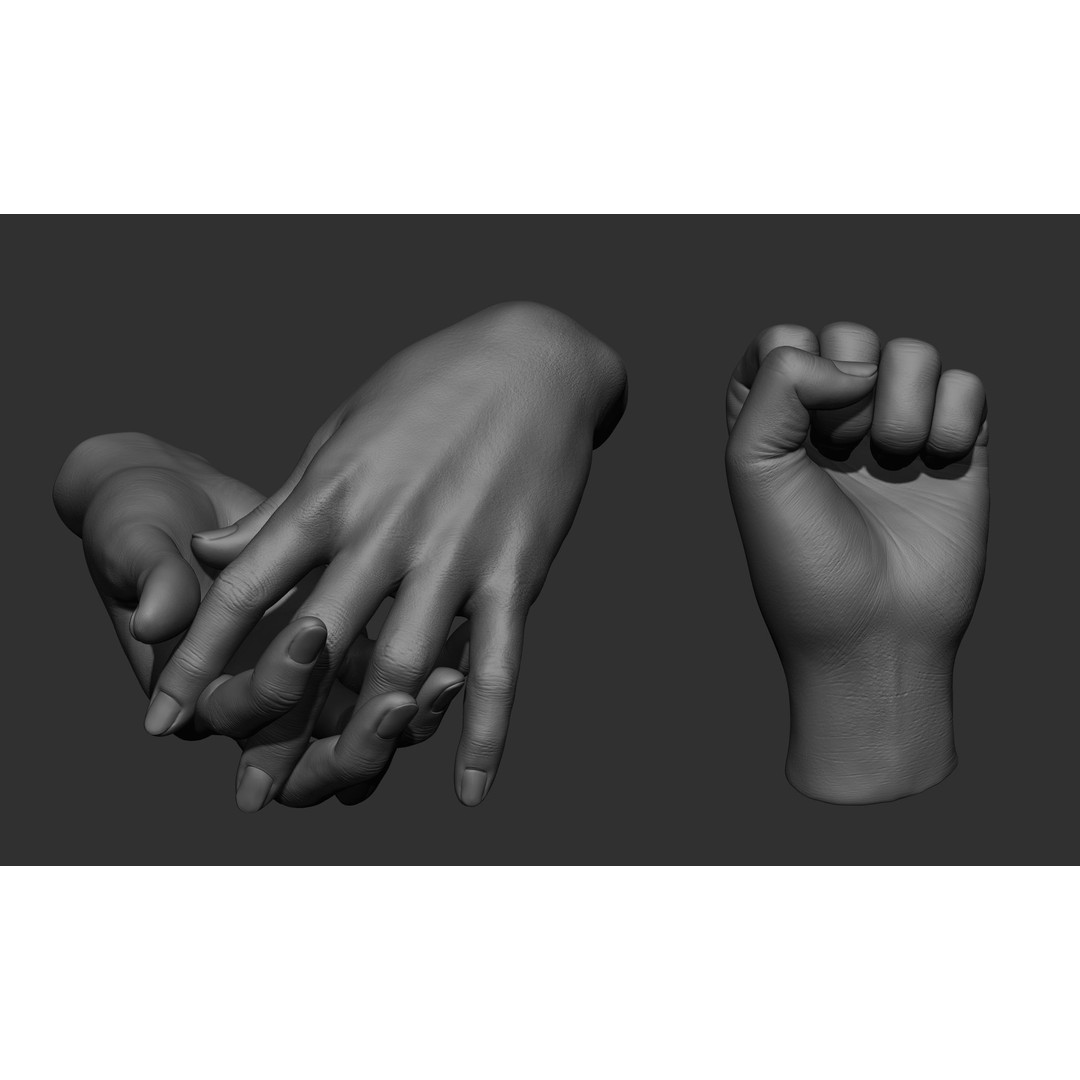 Female Hand Poses 3D Model – Realistic ZBrush Sculptures, OBJ, FBX - View 27