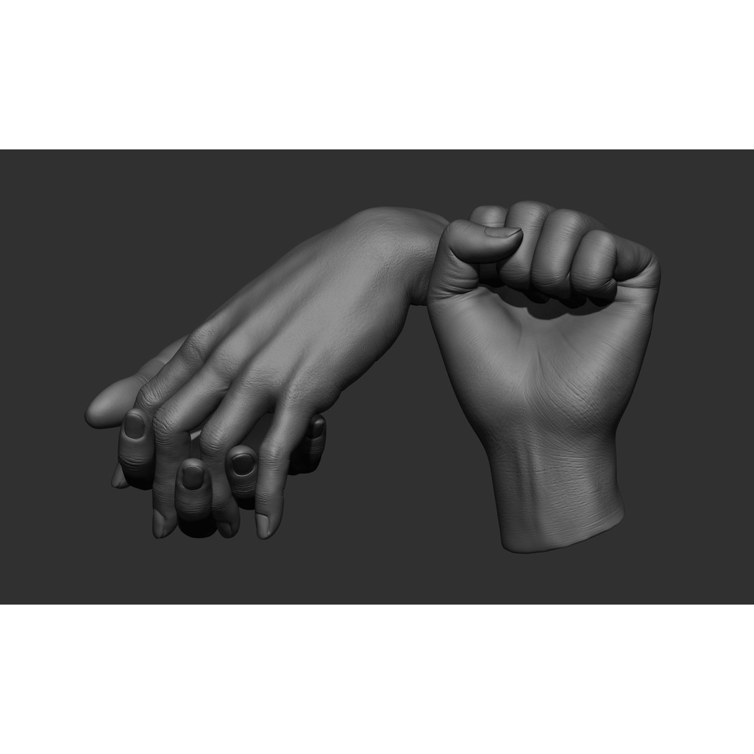 Female Hand Poses 3D Model – Realistic ZBrush Sculptures, OBJ, FBX - View 28