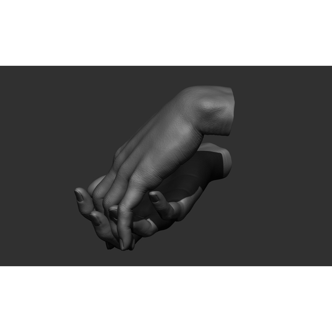 Female Hand Poses 3D Model – Realistic ZBrush Sculptures, OBJ, FBX - View 29