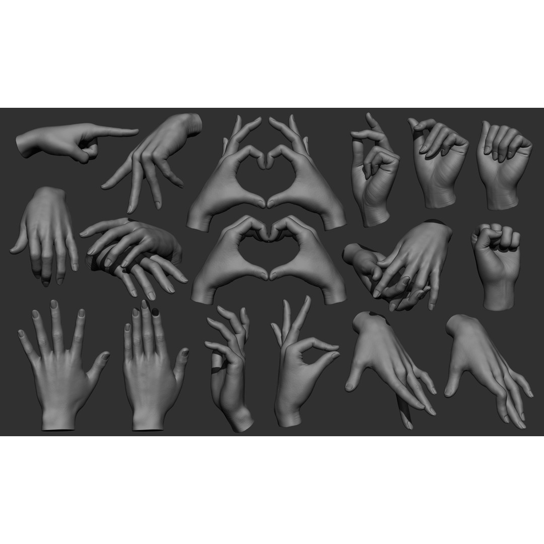 Female Hand Poses 3D Model – Realistic ZBrush Sculptures, OBJ, FBX - View 3