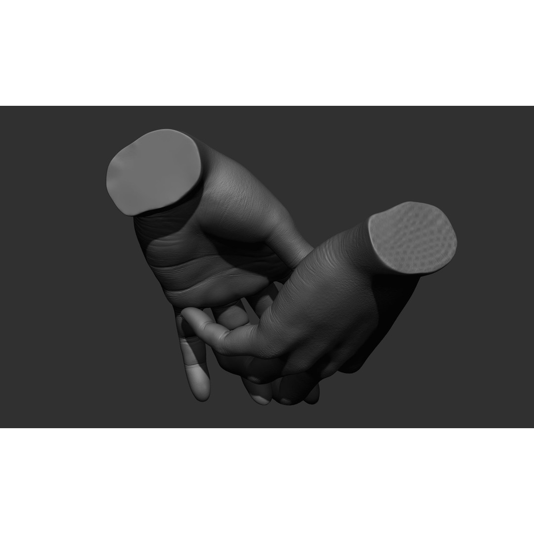 Female Hand Poses 3D Model – Realistic ZBrush Sculptures, OBJ, FBX - View 30