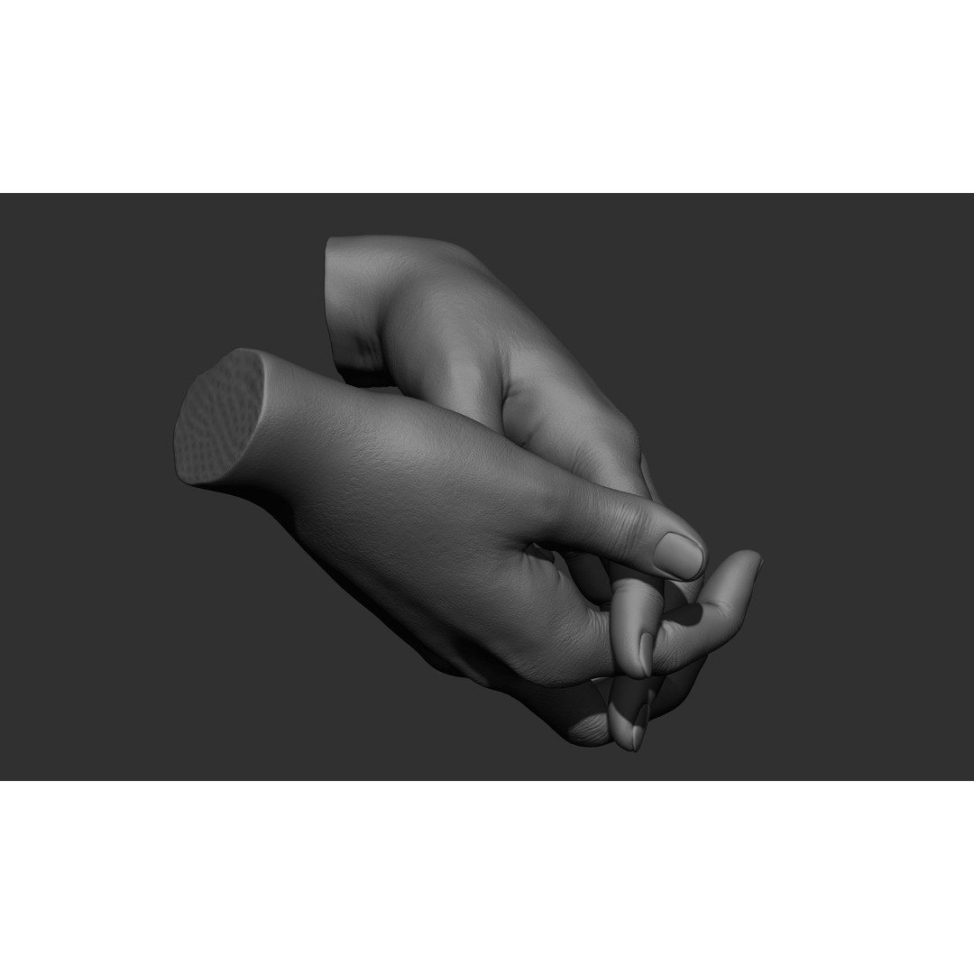 Female Hand Poses 3D Model – Realistic ZBrush Sculptures, OBJ, FBX - View 31