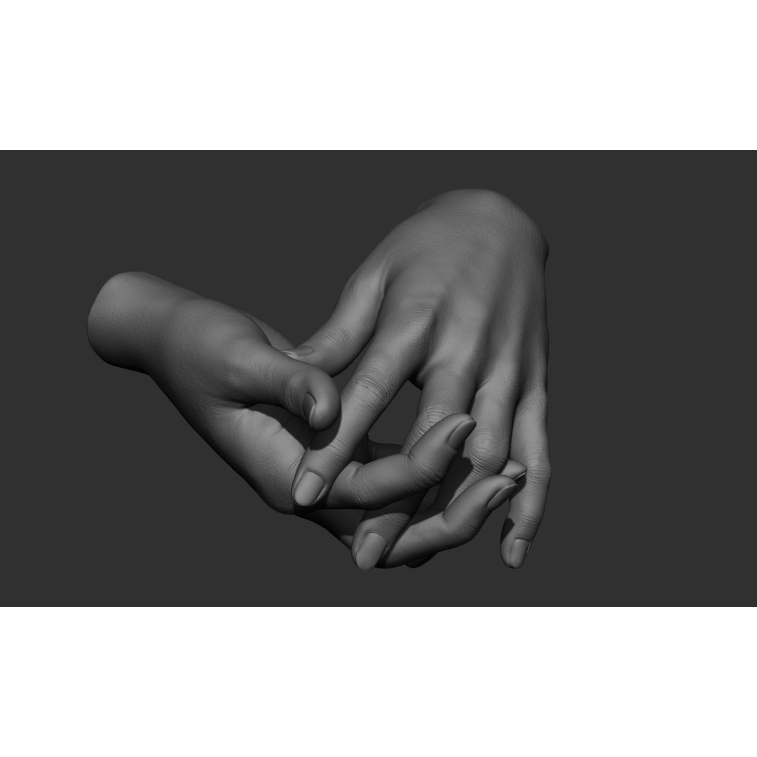 Female Hand Poses 3D Model – Realistic ZBrush Sculptures, OBJ, FBX - View 32