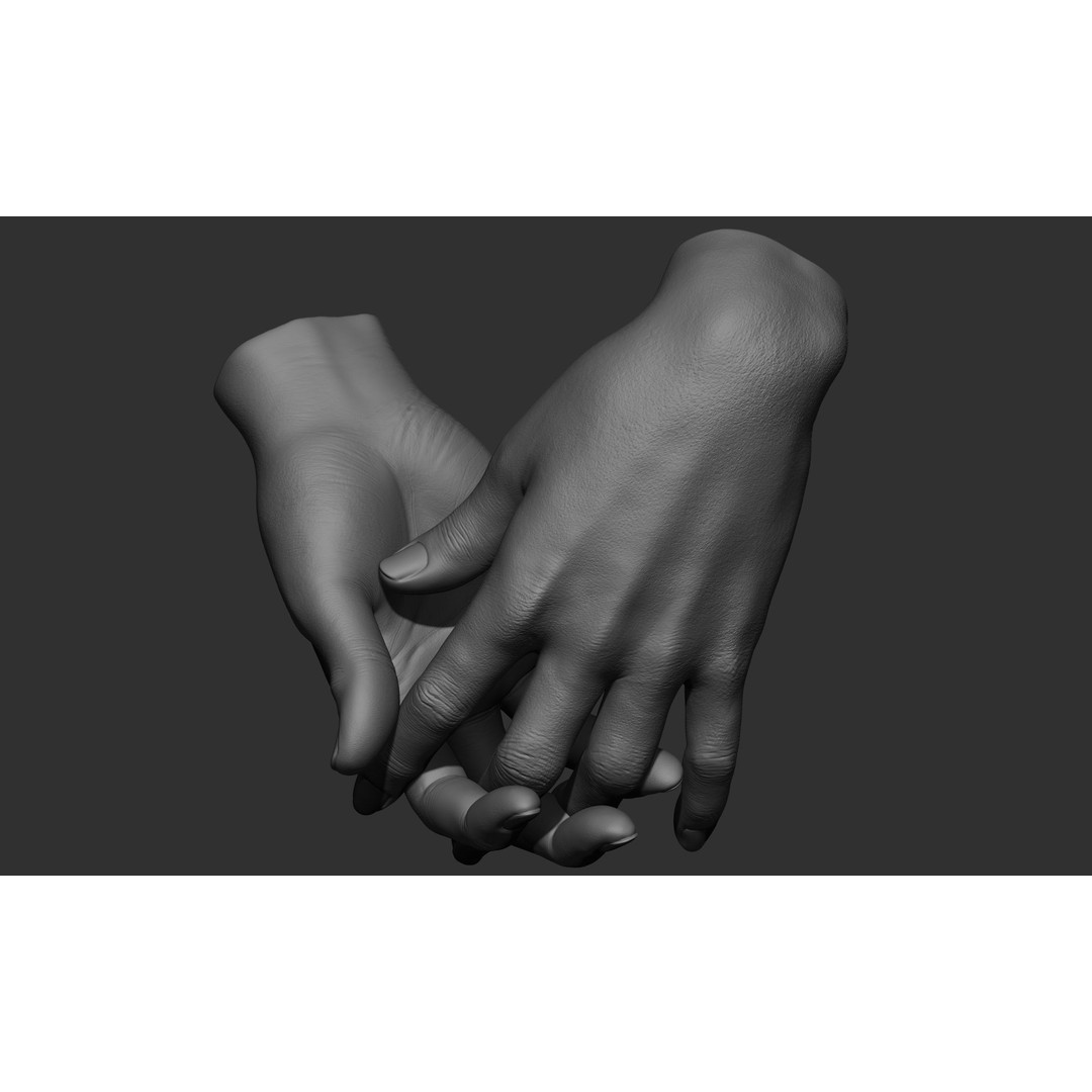 Female Hand Poses 3D Model – Realistic ZBrush Sculptures, OBJ, FBX - View 33
