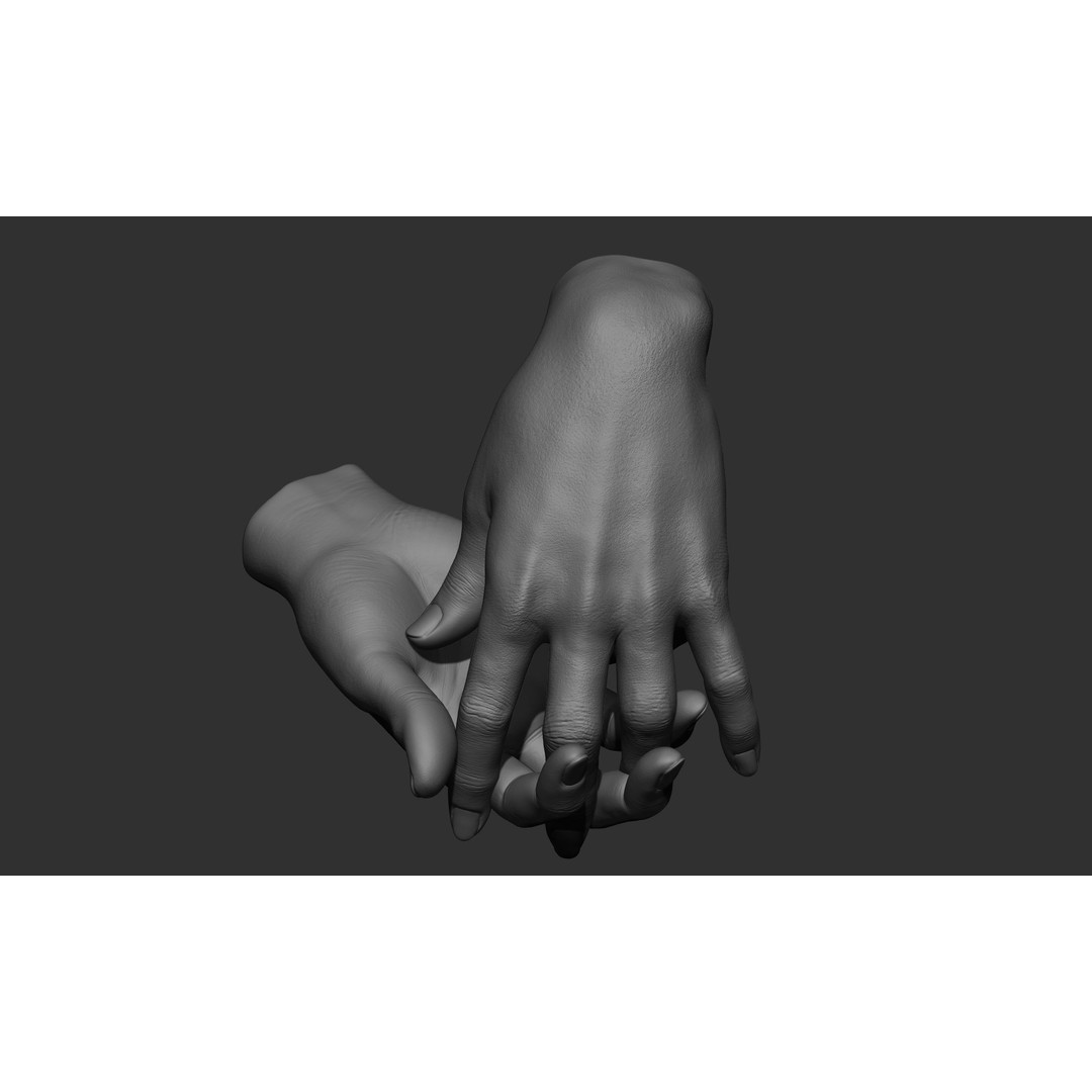 Female Hand Poses 3D Model – Realistic ZBrush Sculptures, OBJ, FBX - View 34