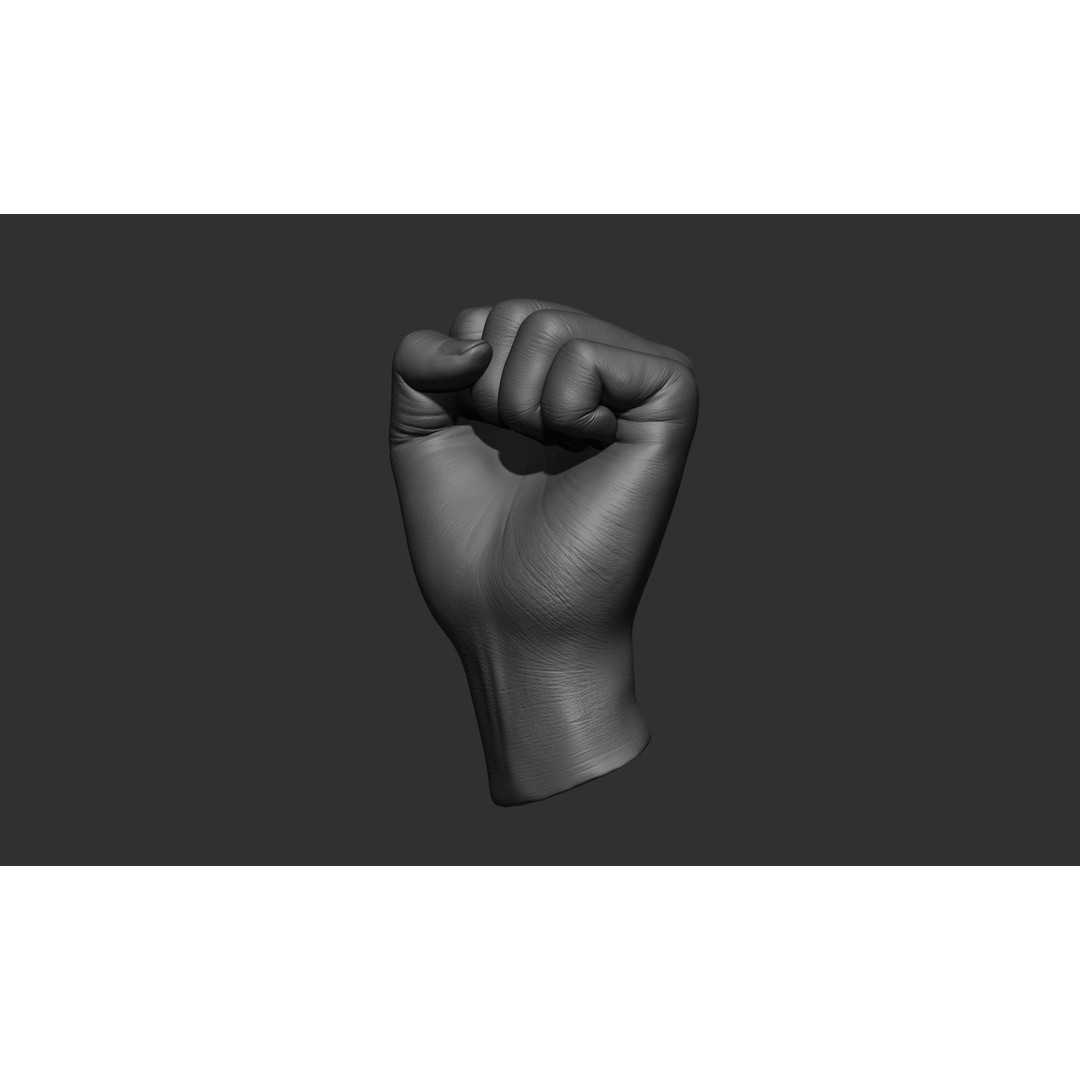 Female Hand Poses 3D Model – Realistic ZBrush Sculptures, OBJ, FBX - View 35