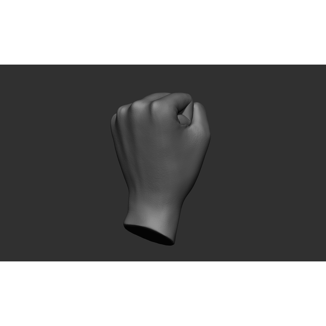 Female Hand Poses 3D Model – Realistic ZBrush Sculptures, OBJ, FBX - View 36
