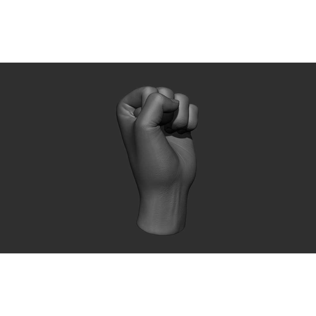 Female Hand Poses 3D Model – Realistic ZBrush Sculptures, OBJ, FBX - View 37