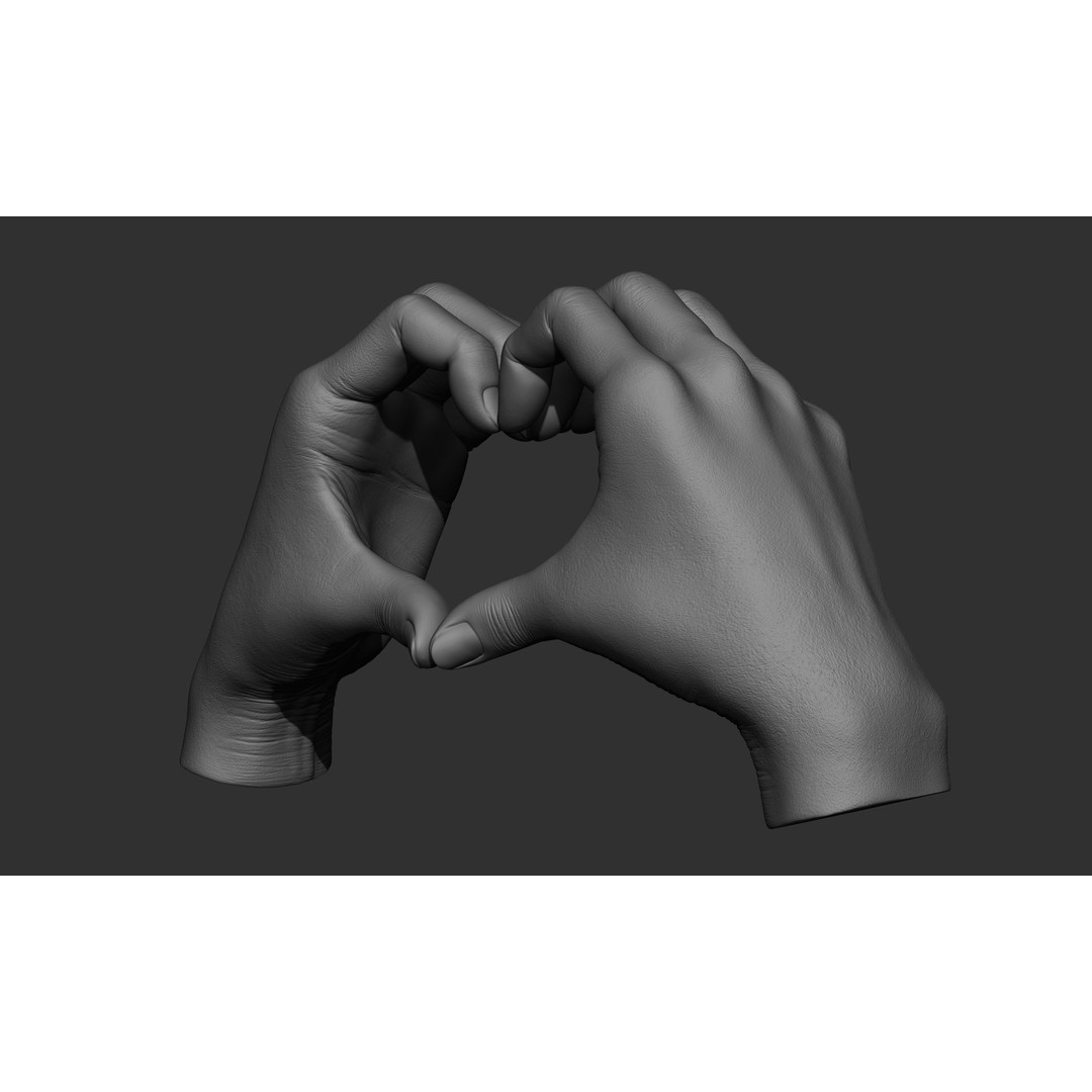 Female Hand Poses 3D Model – Realistic ZBrush Sculptures, OBJ, FBX - View 39