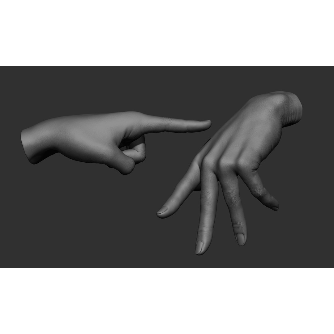 Female Hand Poses 3D Model – Realistic ZBrush Sculptures, OBJ, FBX - View 4