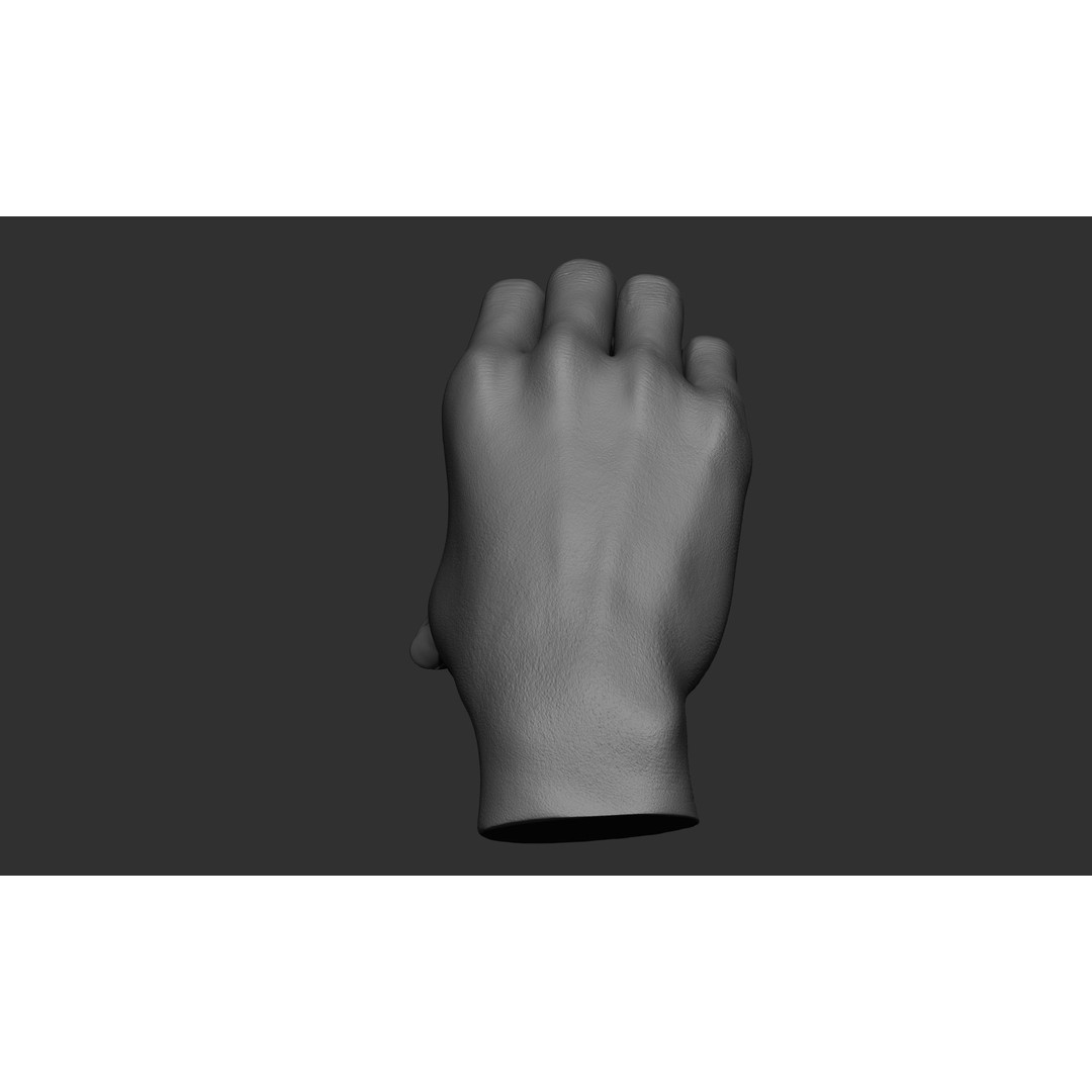 Female Hand Poses 3D Model – Realistic ZBrush Sculptures, OBJ, FBX - View 40