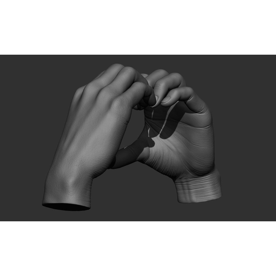 Female Hand Poses 3D Model – Realistic ZBrush Sculptures, OBJ, FBX - View 41