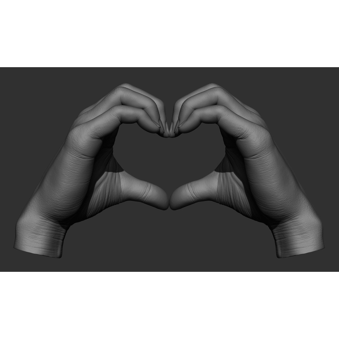 Female Hand Poses 3D Model – Realistic ZBrush Sculptures, OBJ, FBX - View 42