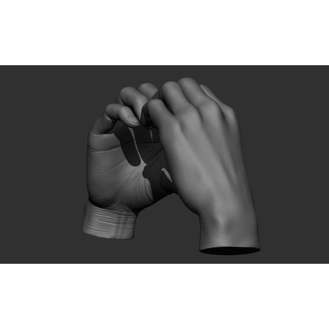 Female Hand Poses 3D Model – Realistic ZBrush Sculptures, OBJ, FBX - View 43
