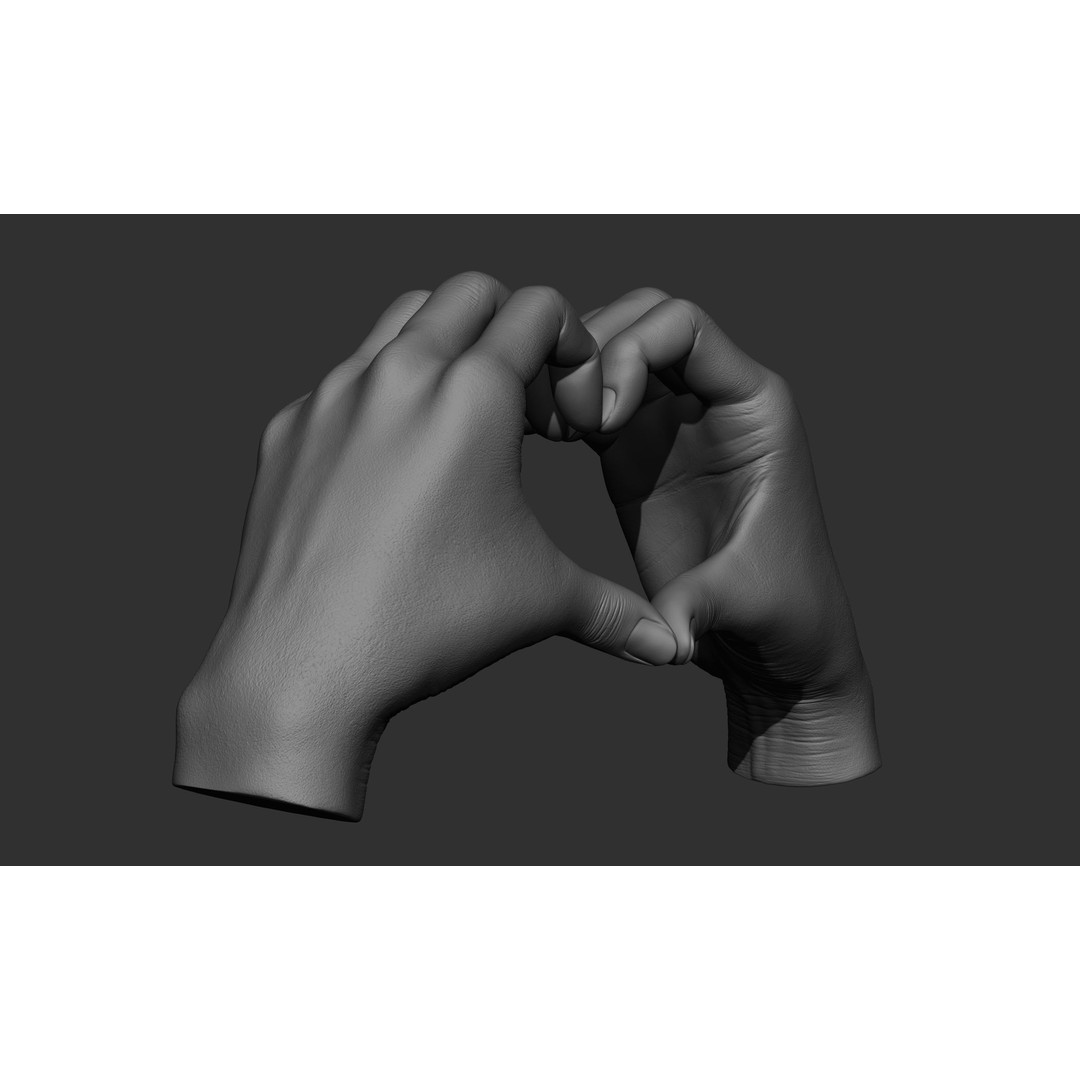 Female Hand Poses 3D Model – Realistic ZBrush Sculptures, OBJ, FBX - View 44