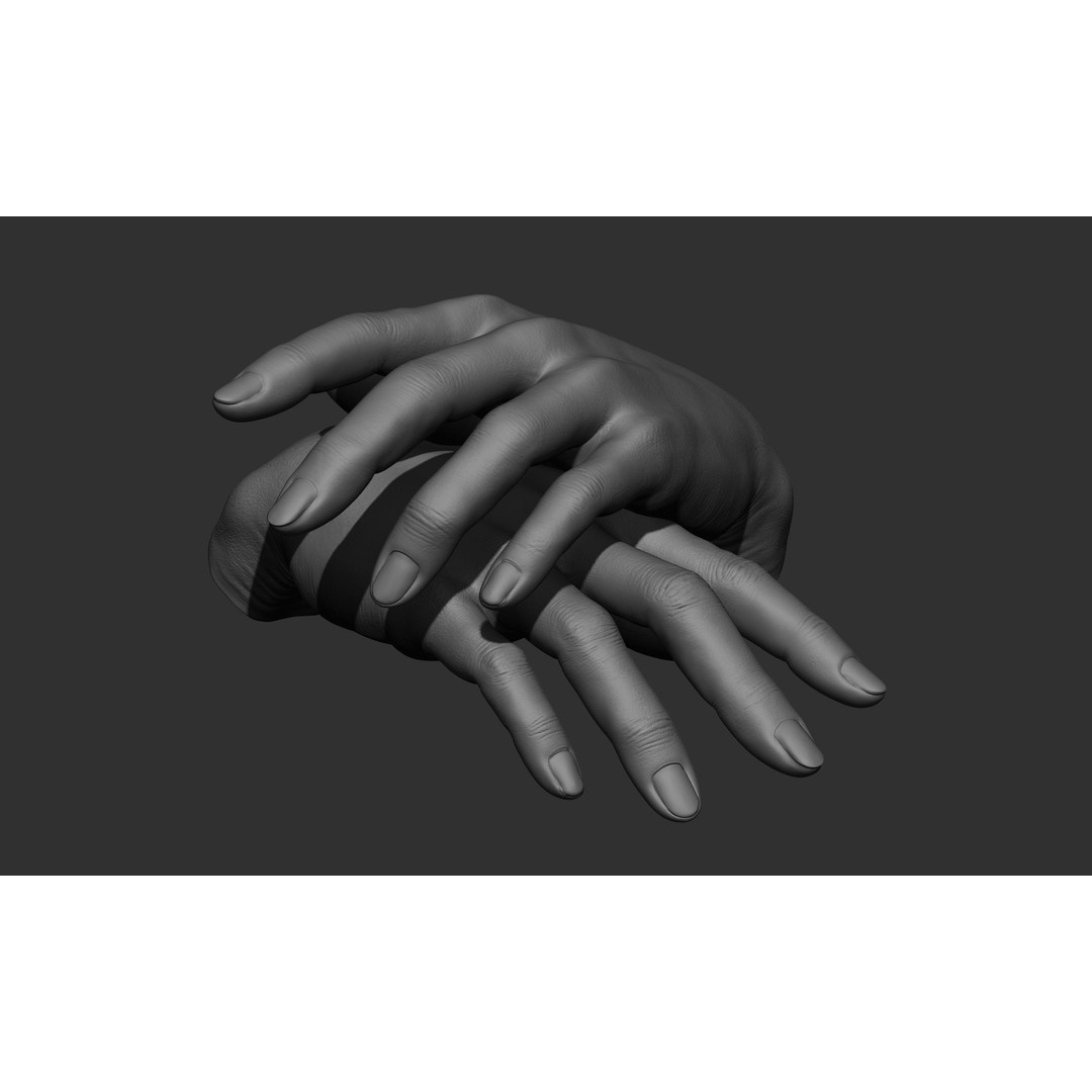 Female Hand Poses 3D Model – Realistic ZBrush Sculptures, OBJ, FBX - View 45