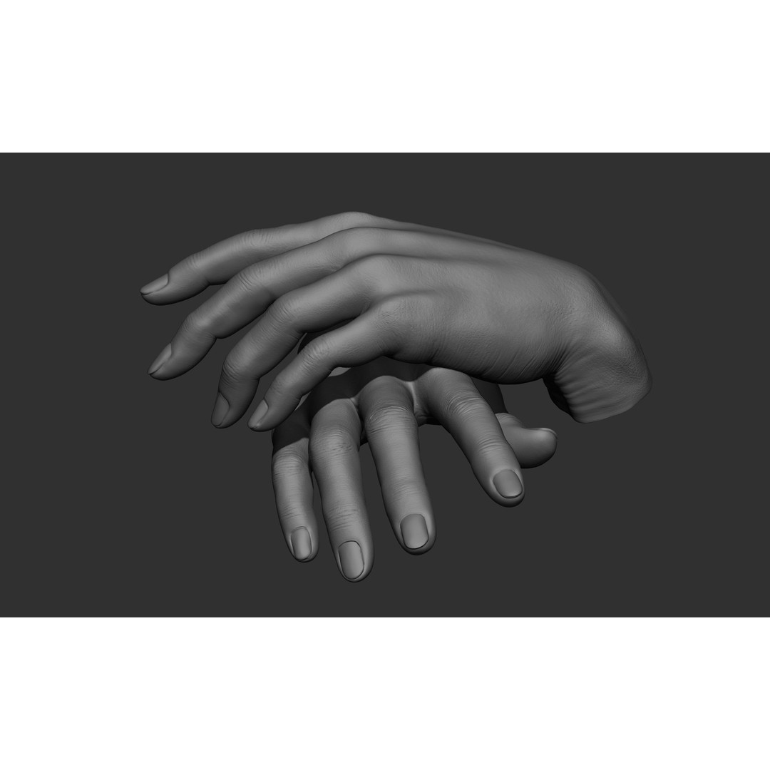 Female Hand Poses 3D Model – Realistic ZBrush Sculptures, OBJ, FBX - View 46