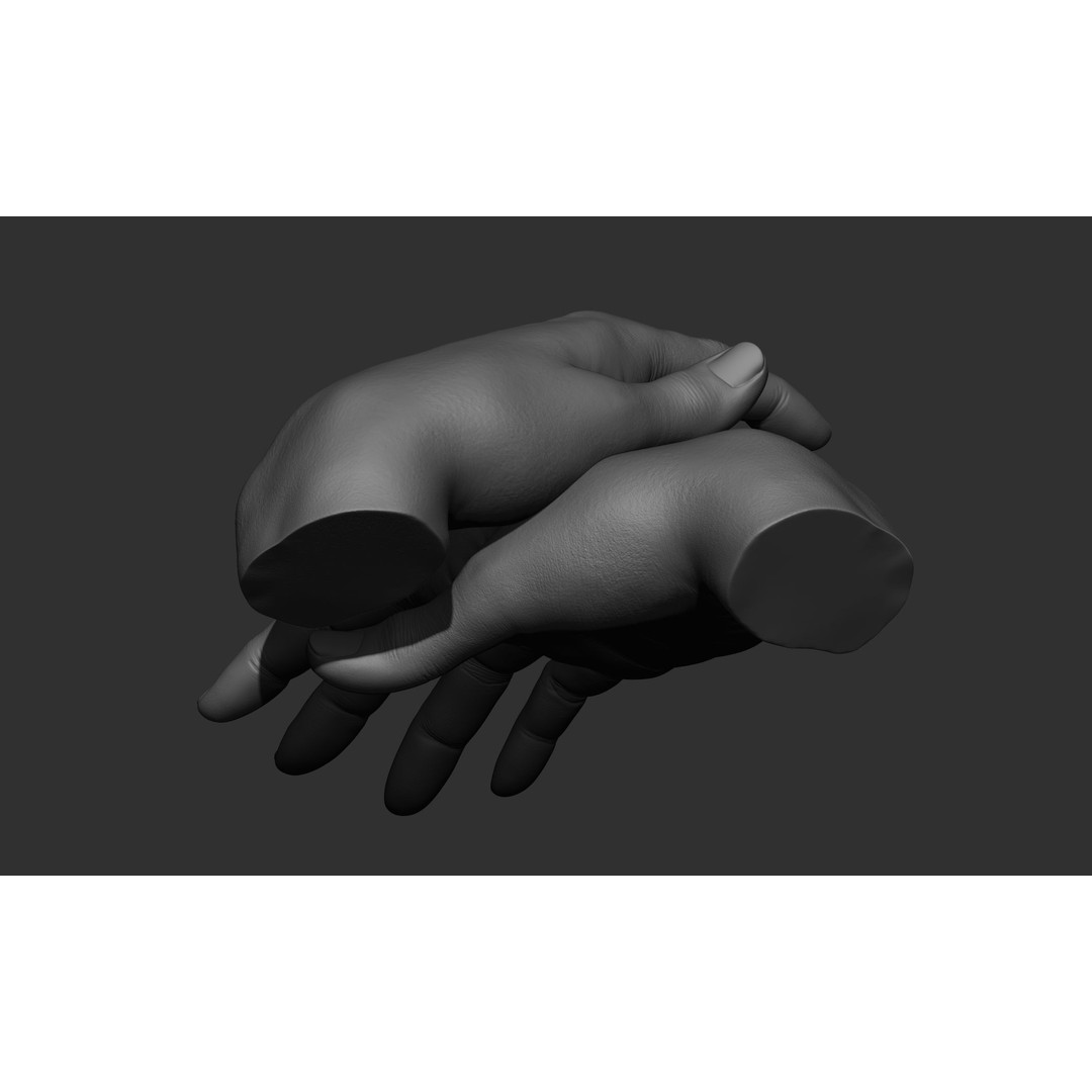 Female Hand Poses 3D Model – Realistic ZBrush Sculptures, OBJ, FBX - View 48