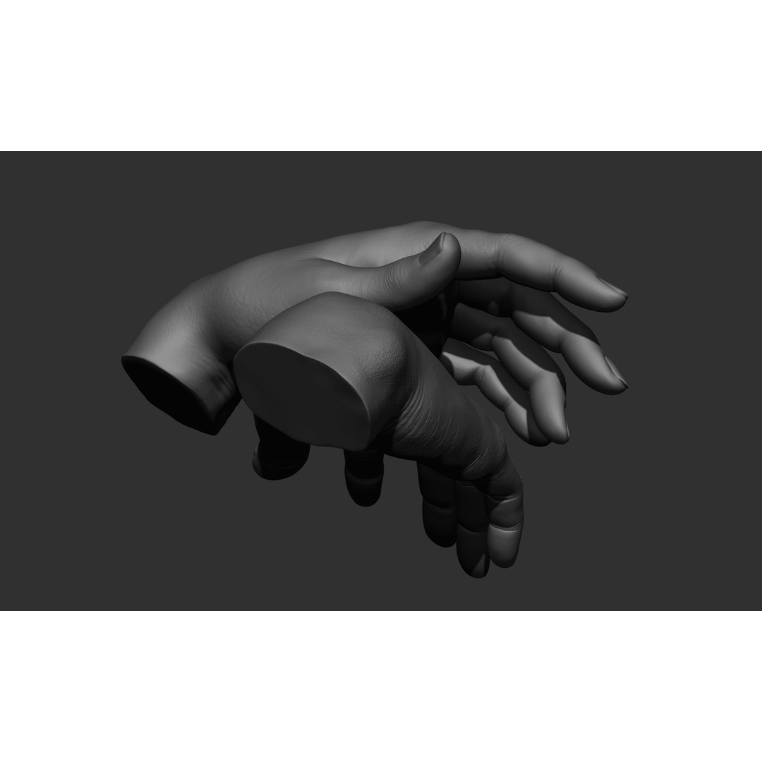 Female Hand Poses 3D Model – Realistic ZBrush Sculptures, OBJ, FBX - View 49