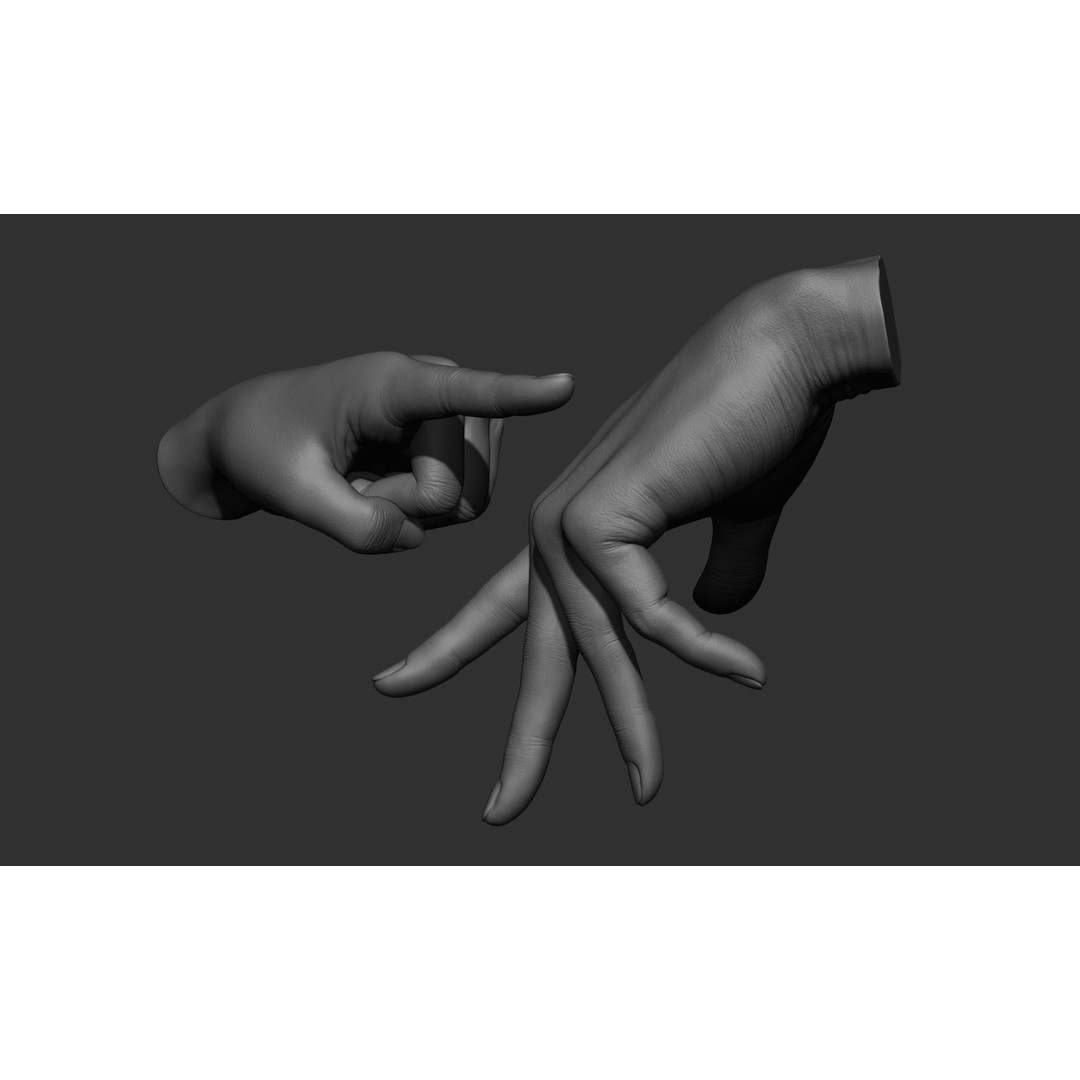Female Hand Poses 3D Model – Realistic ZBrush Sculptures, OBJ, FBX - View 5