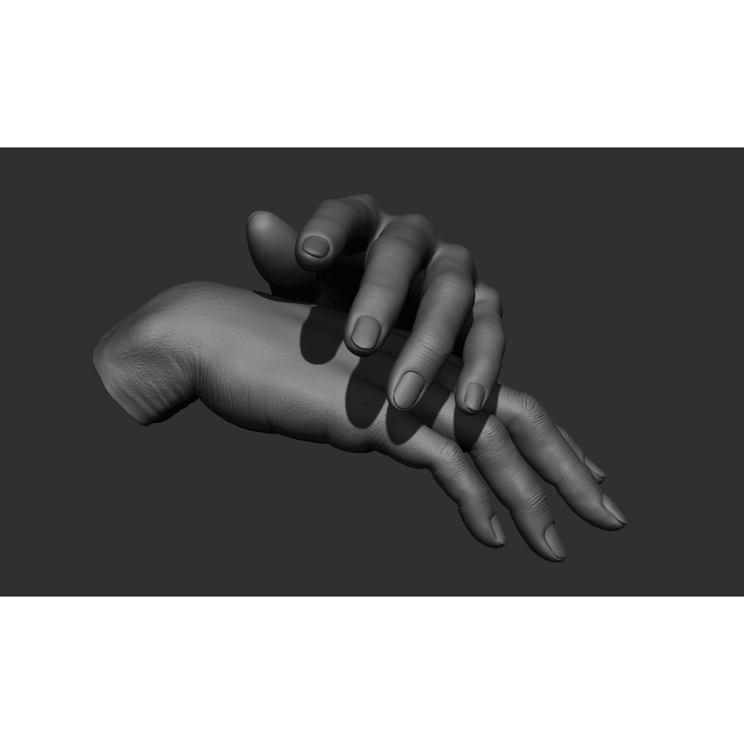 Female Hand Poses 3D Model – Realistic ZBrush Sculptures, OBJ, FBX - View 50