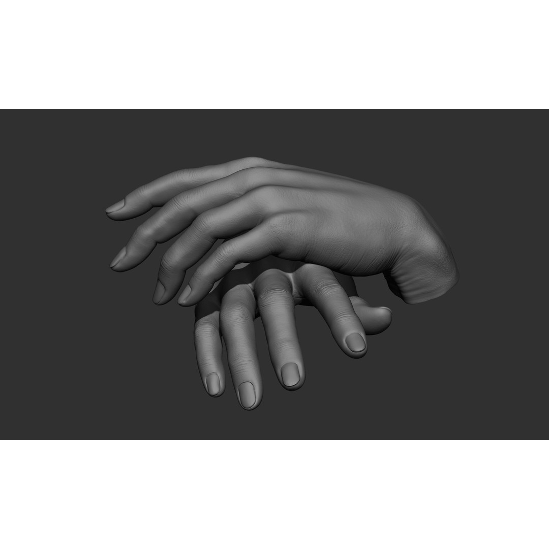 Female Hand Poses 3D Model – Realistic ZBrush Sculptures, OBJ, FBX - View 51