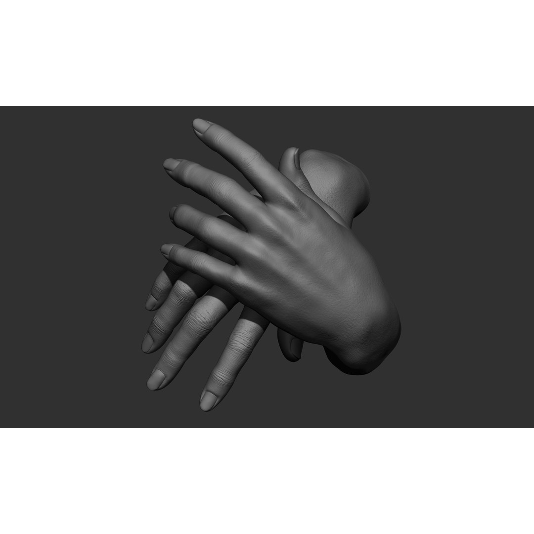 Female Hand Poses 3D Model – Realistic ZBrush Sculptures, OBJ, FBX - View 52