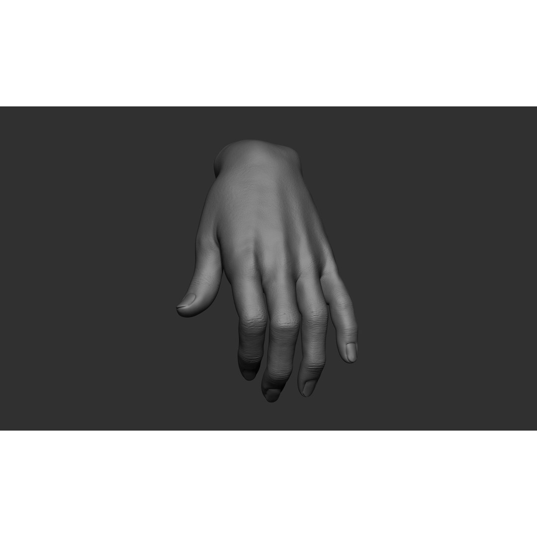 Female Hand Poses 3D Model – Realistic ZBrush Sculptures, OBJ, FBX - View 53