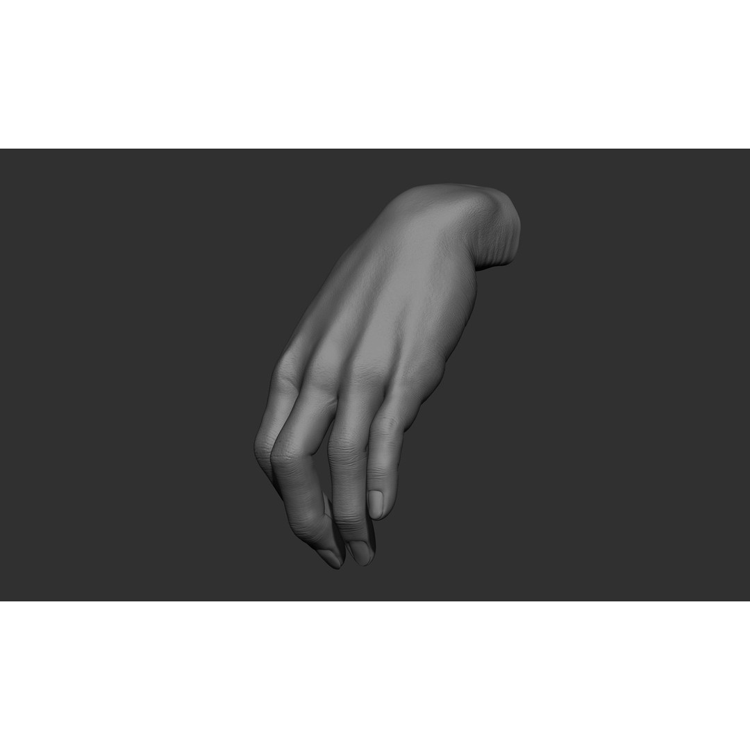 Female Hand Poses 3D Model – Realistic ZBrush Sculptures, OBJ, FBX - View 54