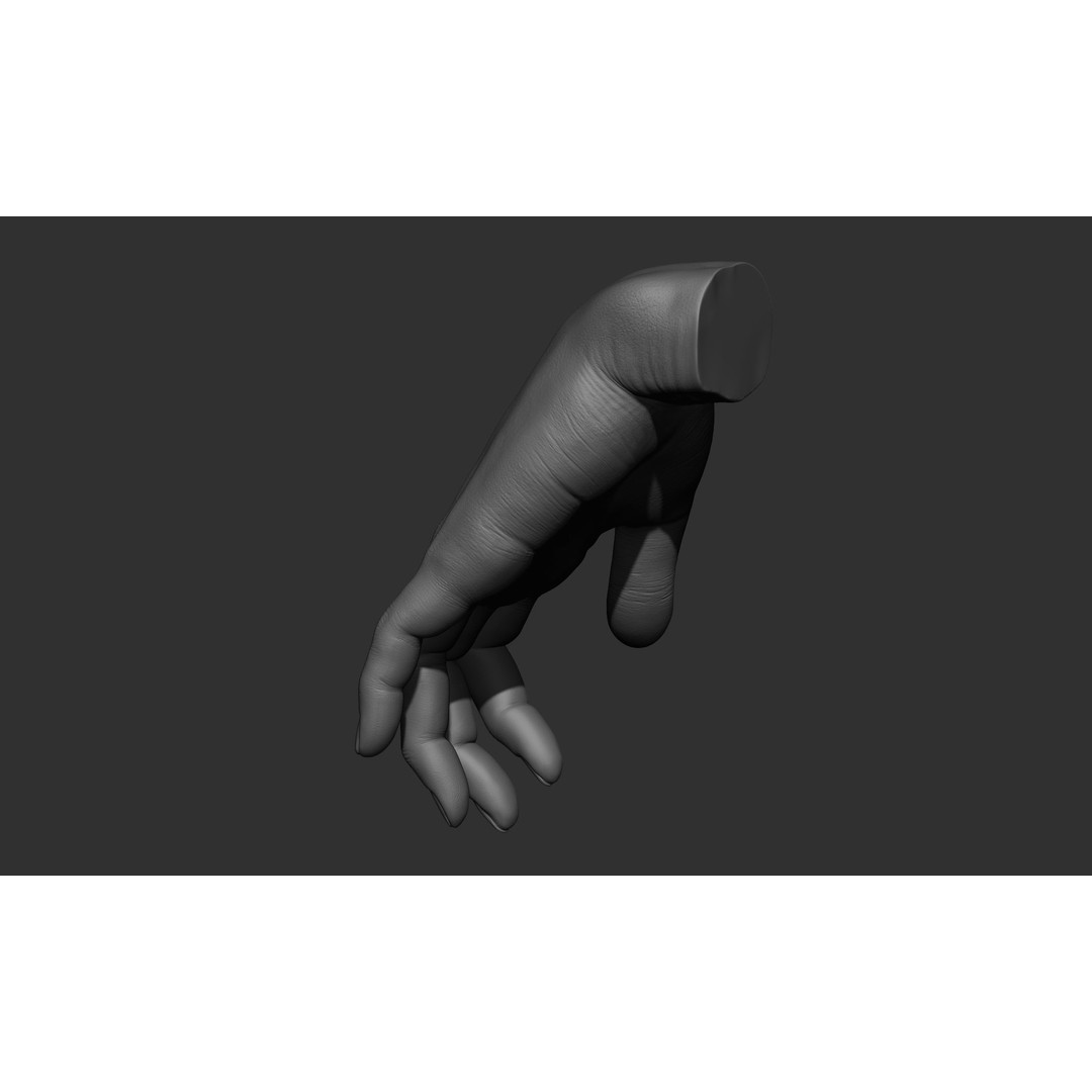 Female Hand Poses 3D Model – Realistic ZBrush Sculptures, OBJ, FBX - View 55
