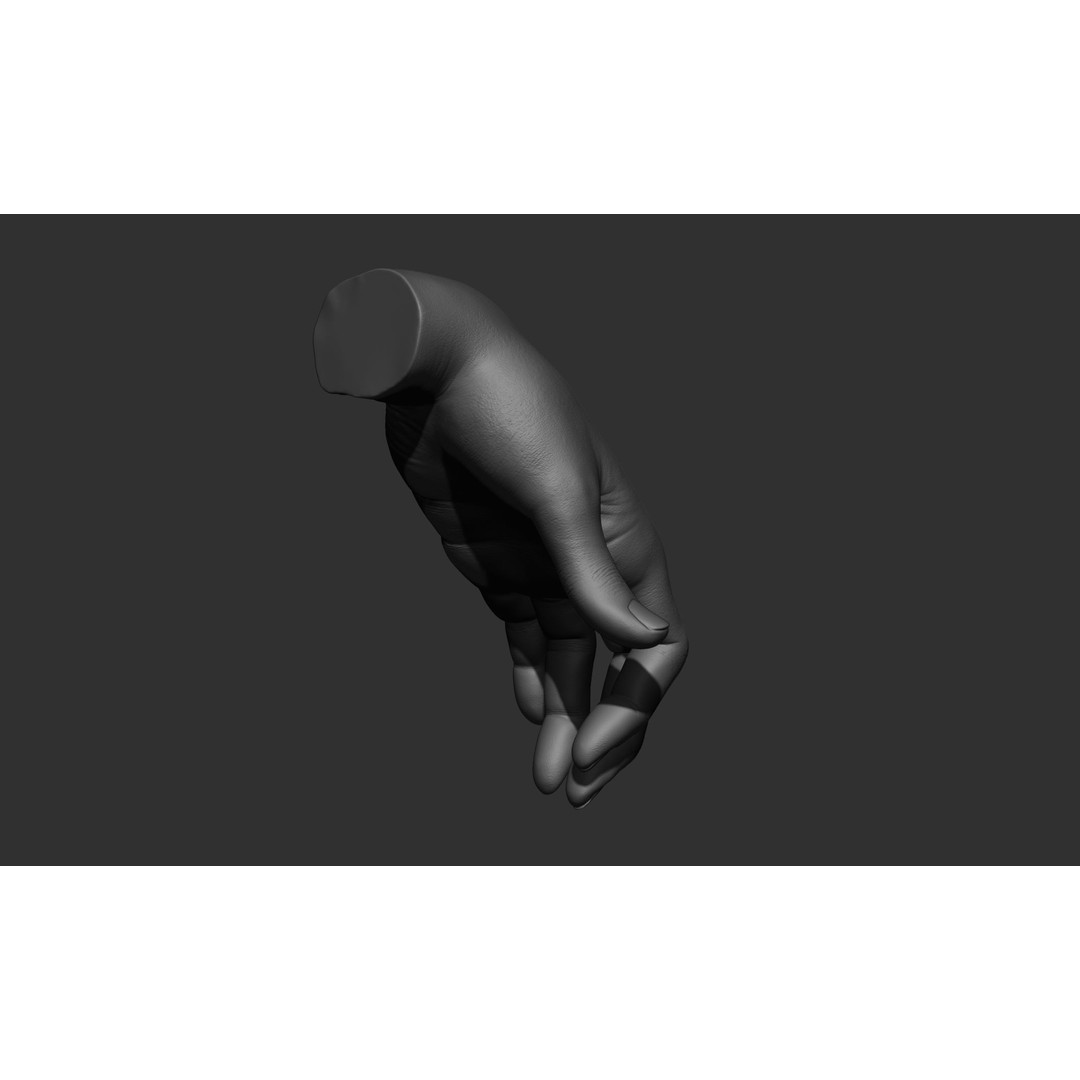 Female Hand Poses 3D Model – Realistic ZBrush Sculptures, OBJ, FBX - View 56