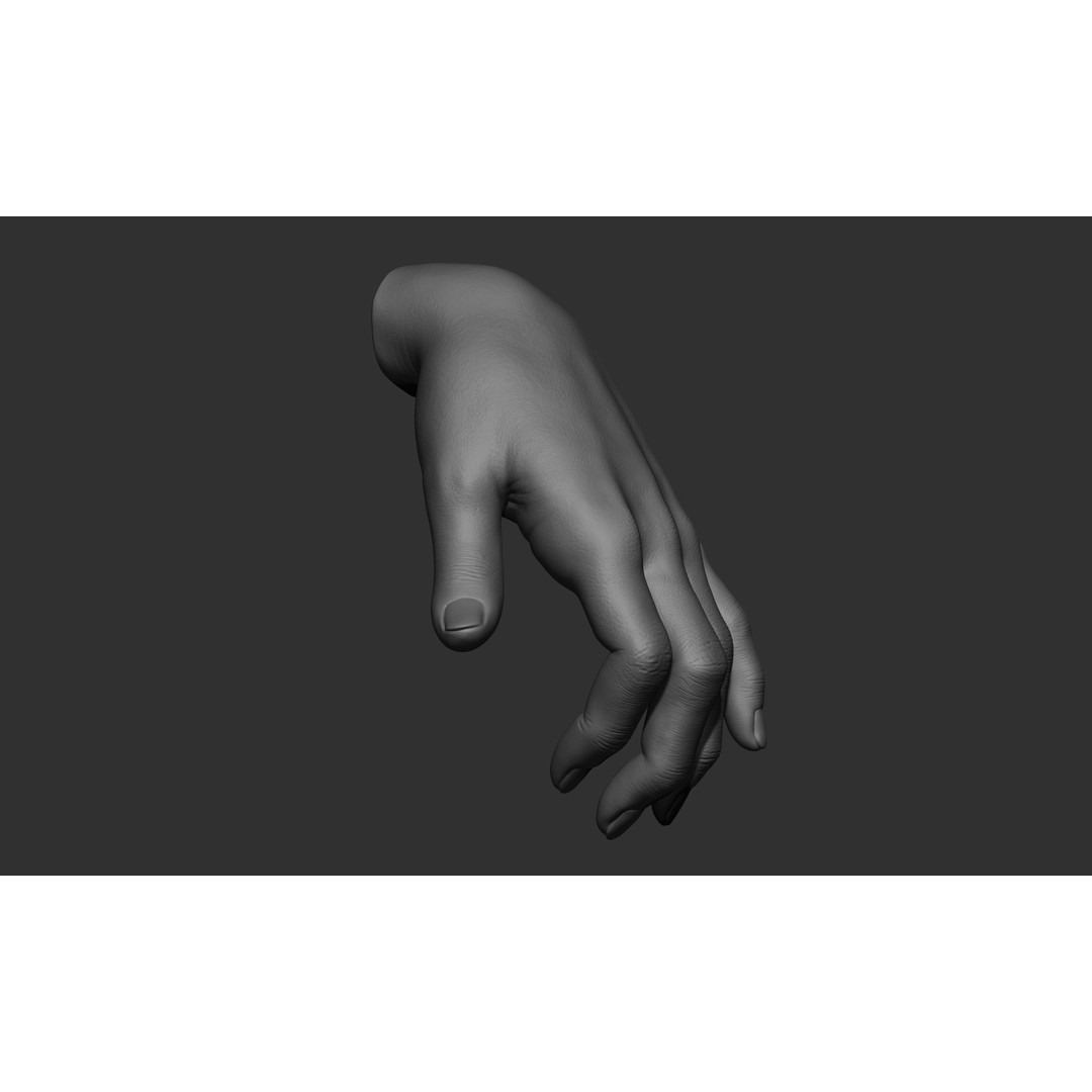 Female Hand Poses 3D Model – Realistic ZBrush Sculptures, OBJ, FBX - View 57
