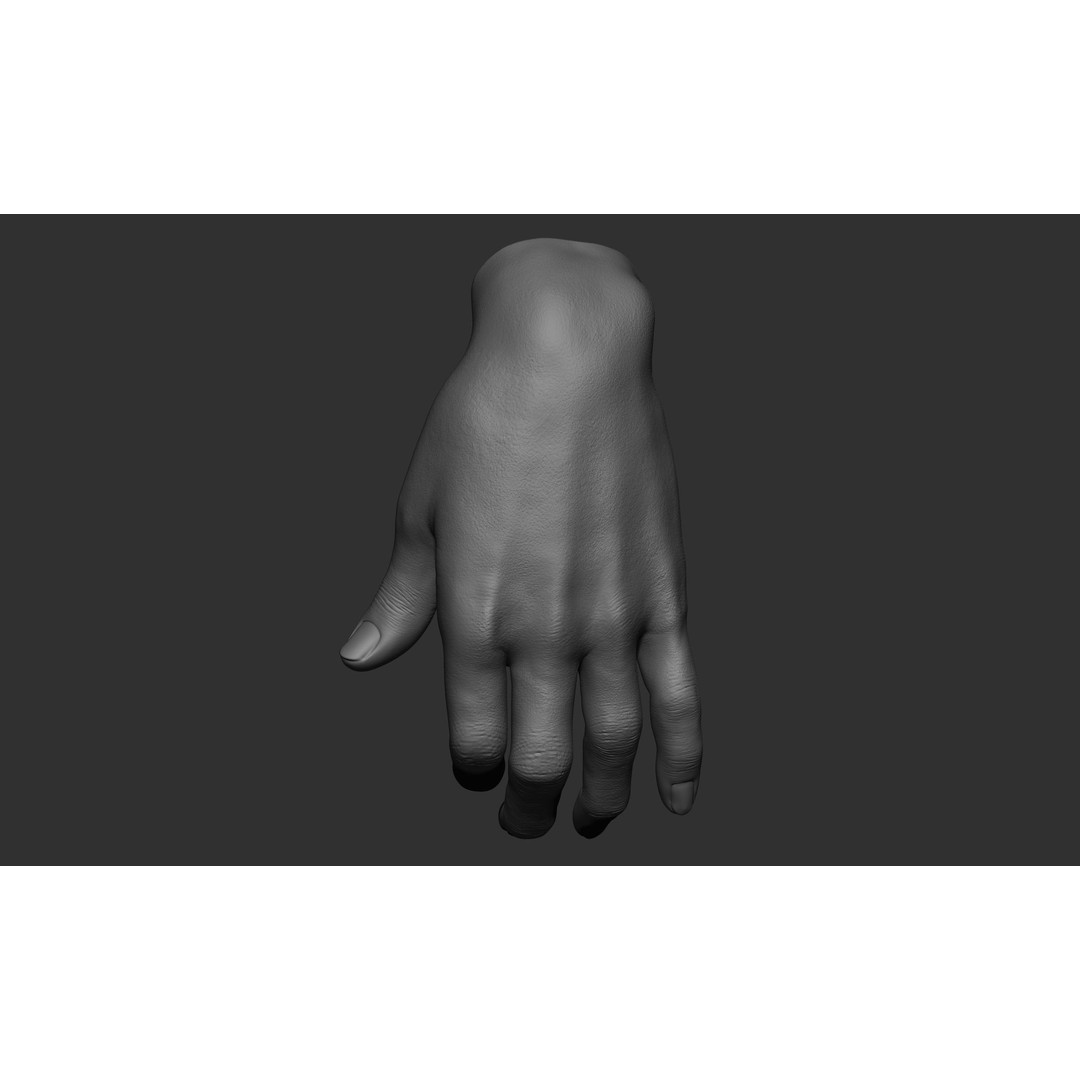 Female Hand Poses 3D Model – Realistic ZBrush Sculptures, OBJ, FBX - View 58
