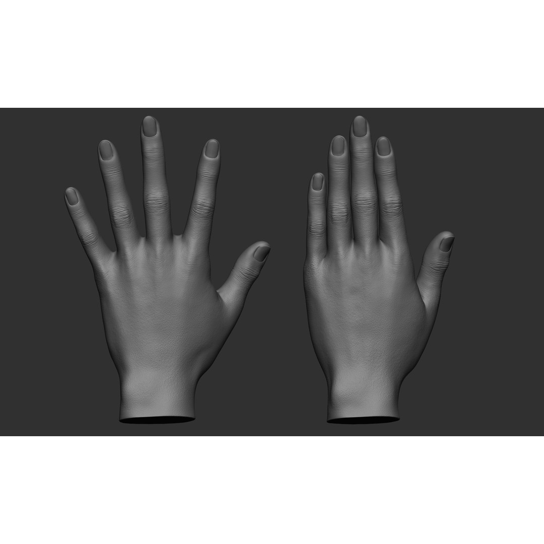 Female Hand Poses 3D Model – Realistic ZBrush Sculptures, OBJ, FBX - View 59