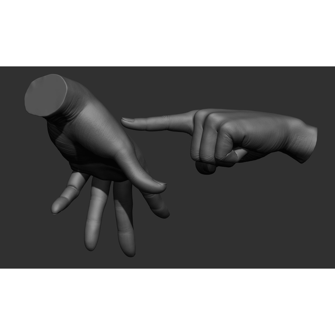Female Hand Poses 3D Model – Realistic ZBrush Sculptures, OBJ, FBX - View 6
