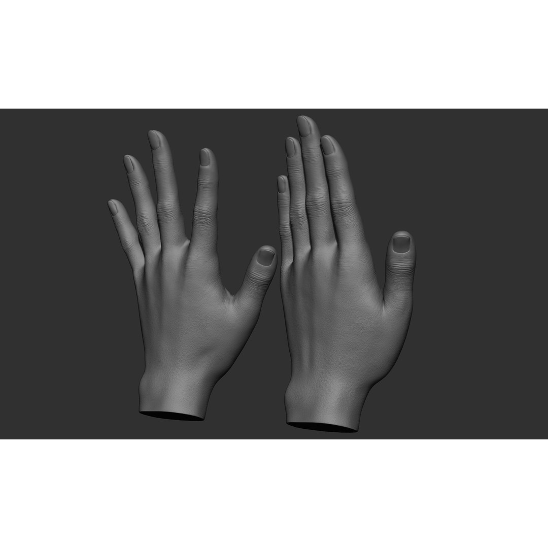 Female Hand Poses 3D Model – Realistic ZBrush Sculptures, OBJ, FBX - View 60