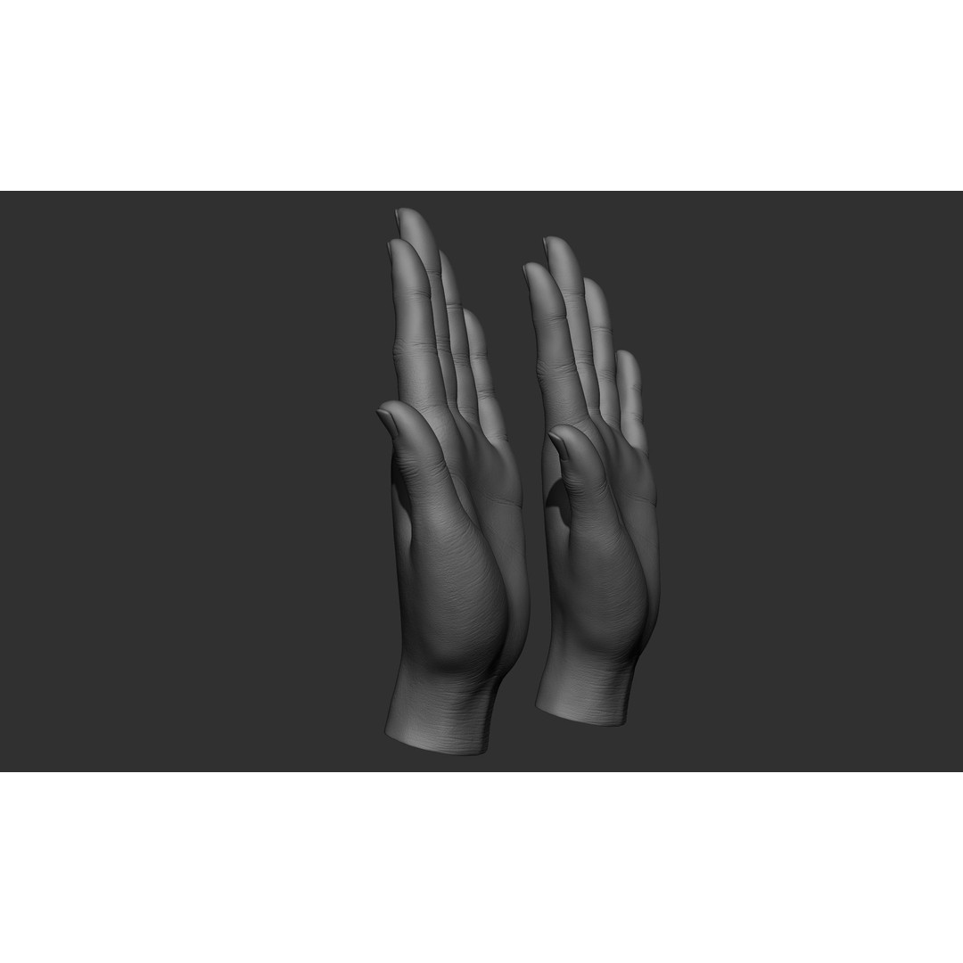 Female Hand Poses 3D Model – Realistic ZBrush Sculptures, OBJ, FBX - View 61