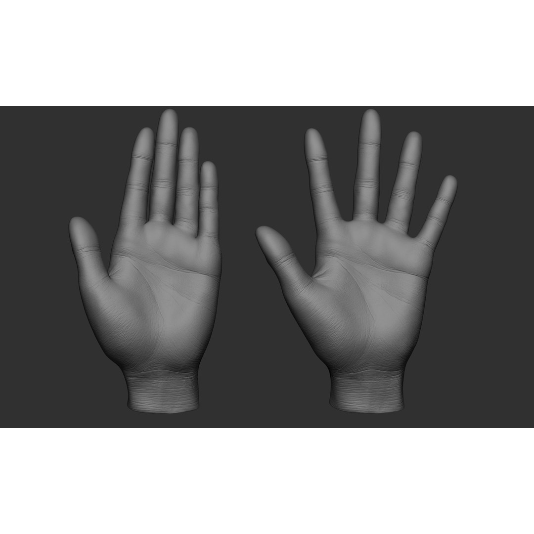 Female Hand Poses 3D Model – Realistic ZBrush Sculptures, OBJ, FBX - View 62