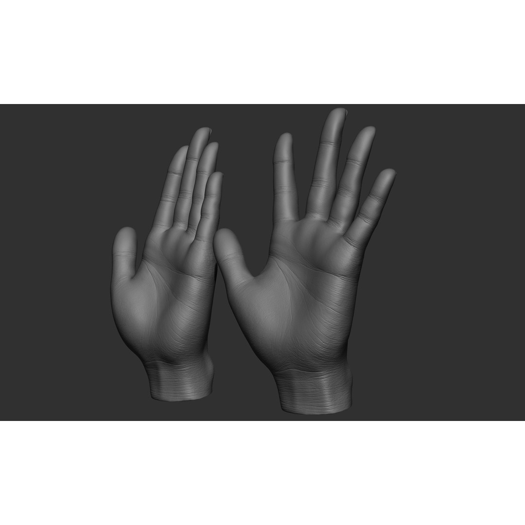 Female Hand Poses 3D Model – Realistic ZBrush Sculptures, OBJ, FBX - View 63