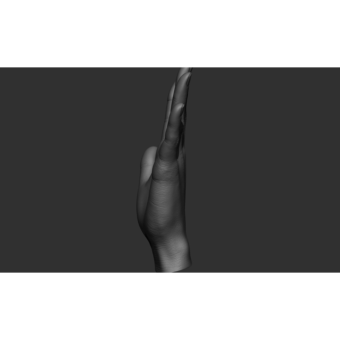 Female Hand Poses 3D Model – Realistic ZBrush Sculptures, OBJ, FBX - View 64