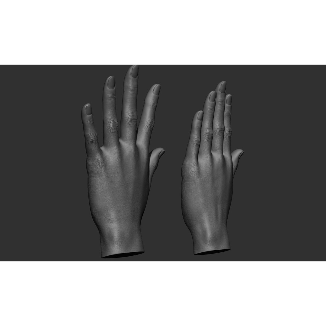 Female Hand Poses 3D Model – Realistic ZBrush Sculptures, OBJ, FBX - View 65