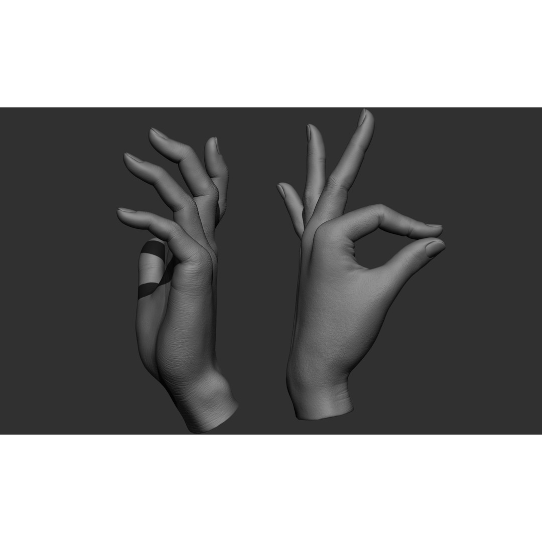 Female Hand Poses 3D Model – Realistic ZBrush Sculptures, OBJ, FBX - View 66