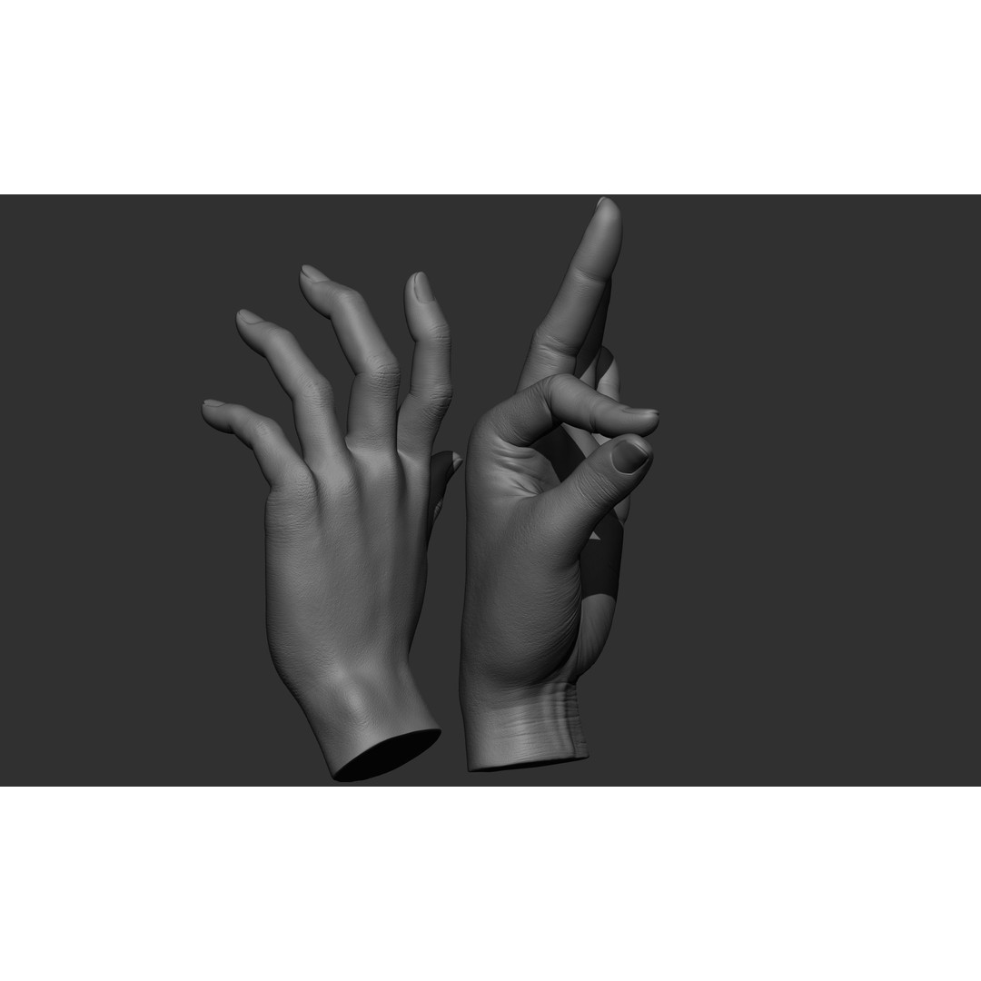 Female Hand Poses 3D Model – Realistic ZBrush Sculptures, OBJ, FBX - View 67