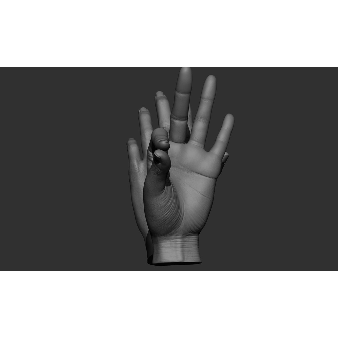 Female Hand Poses 3D Model – Realistic ZBrush Sculptures, OBJ, FBX - View 68