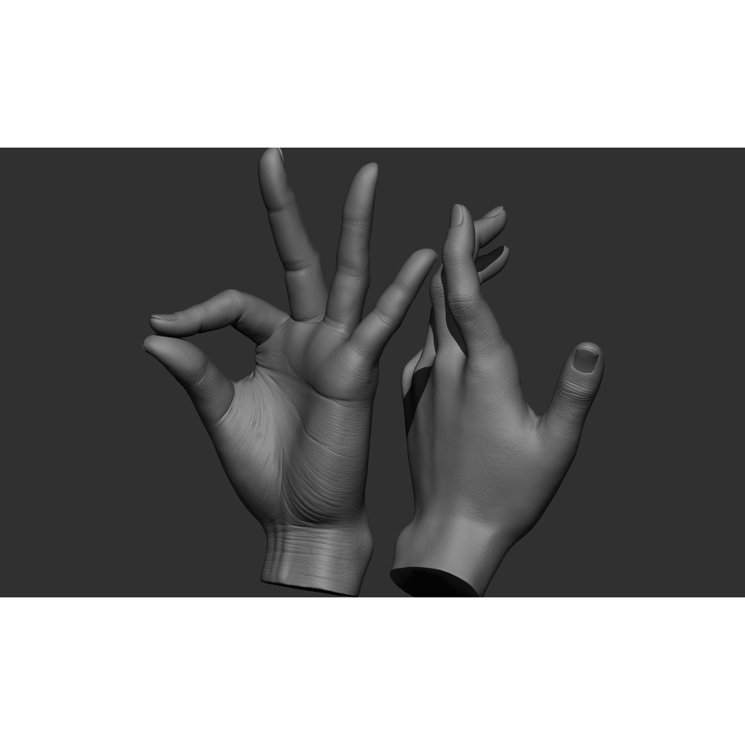 Female Hand Poses 3D Model – Realistic ZBrush Sculptures, OBJ, FBX - View 69
