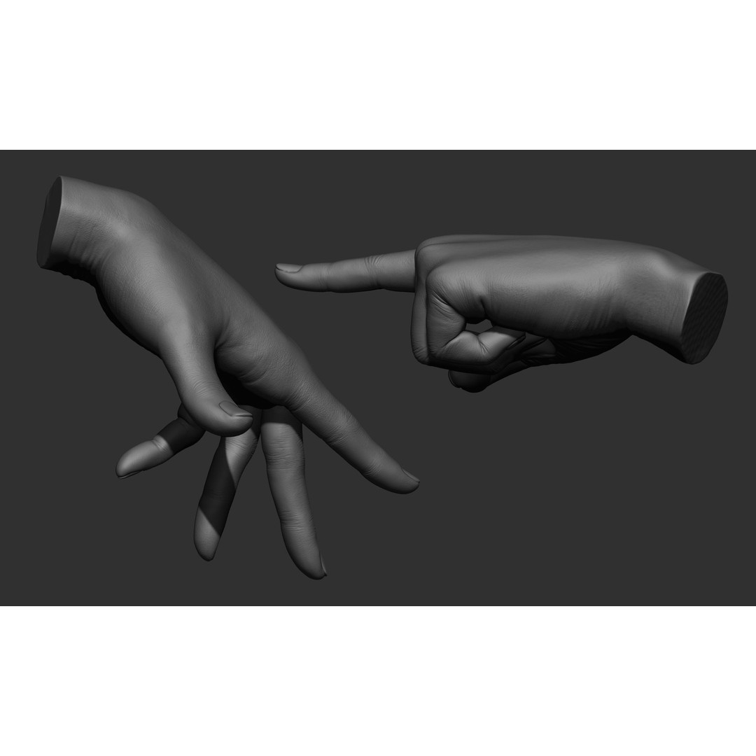 Female Hand Poses 3D Model – Realistic ZBrush Sculptures, OBJ, FBX - View 7