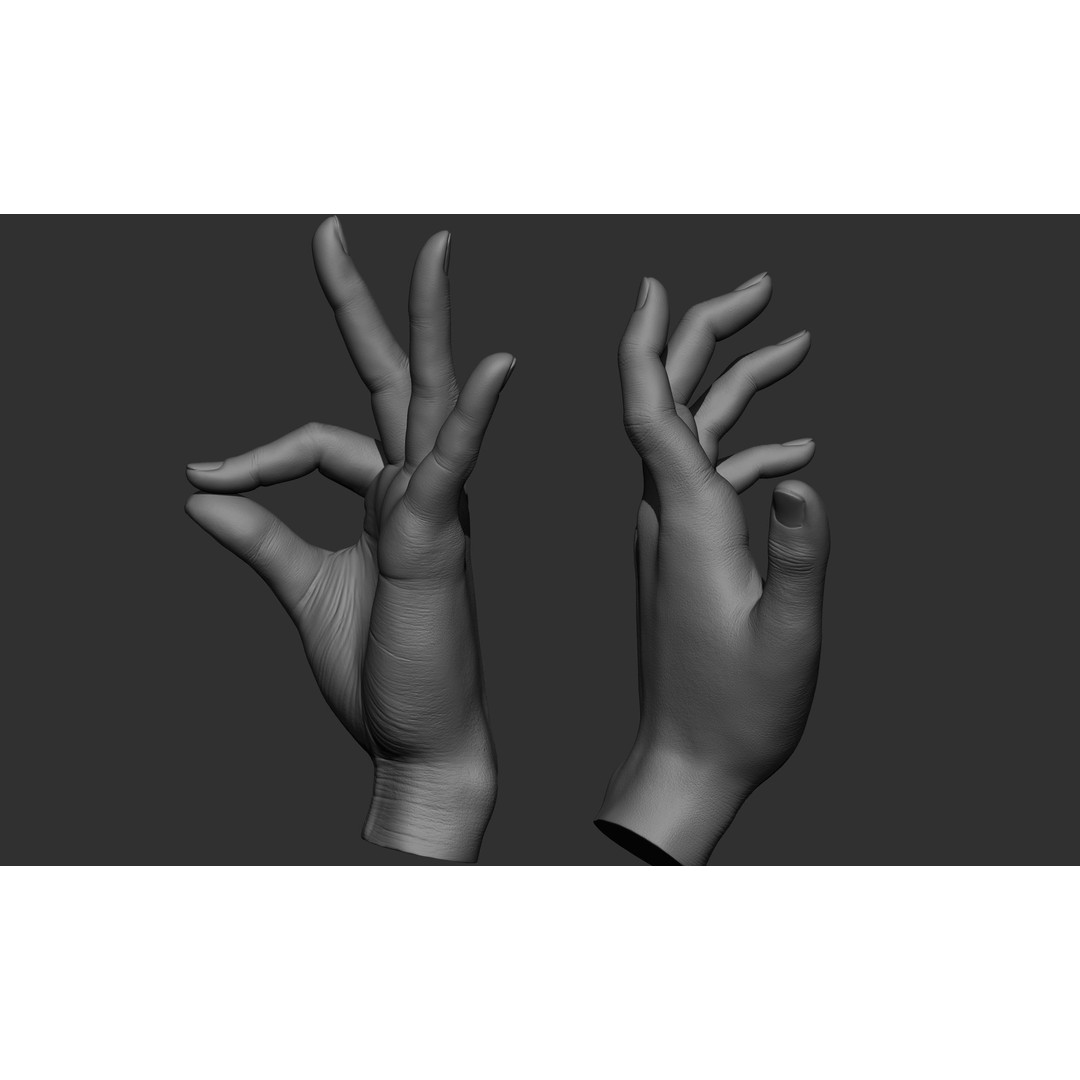 Female Hand Poses 3D Model – Realistic ZBrush Sculptures, OBJ, FBX - View 70