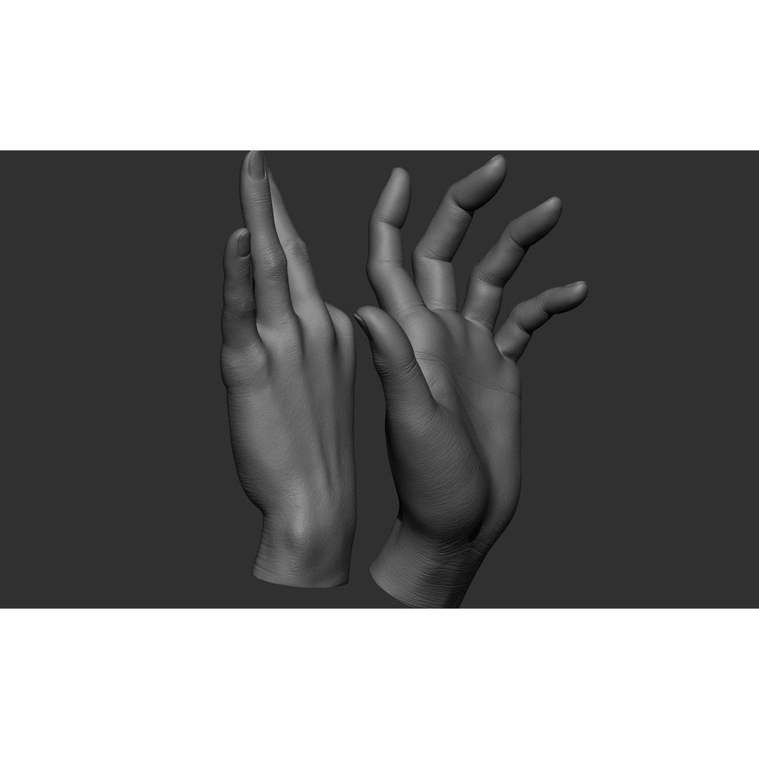 Female Hand Poses 3D Model – Realistic ZBrush Sculptures, OBJ, FBX - View 71